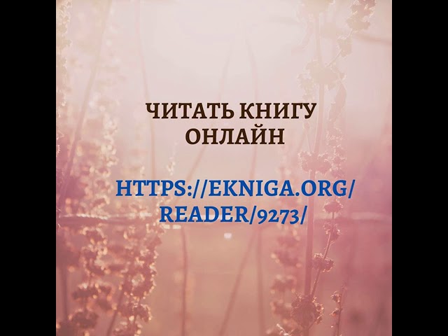Софья Ролдугина «Кофейные истории»
