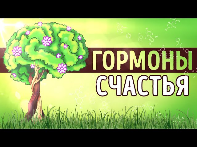 «Гормоны счастья». Лоретта Грациано Бройнинг | Саммари ®