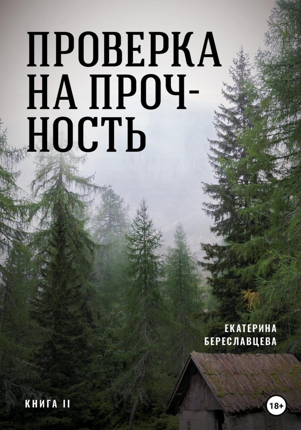 Книги о приключениях Проверка на прочность(Екатерина Береславцева) 