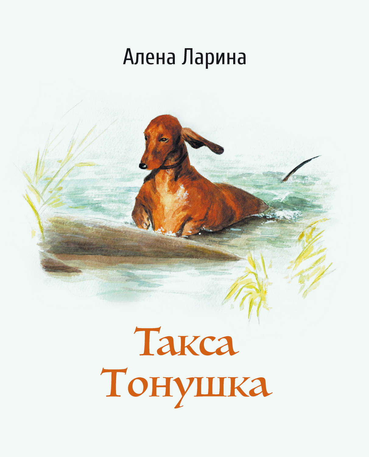 Домашние животные Такса Тонушка(Алёна Ларина) 