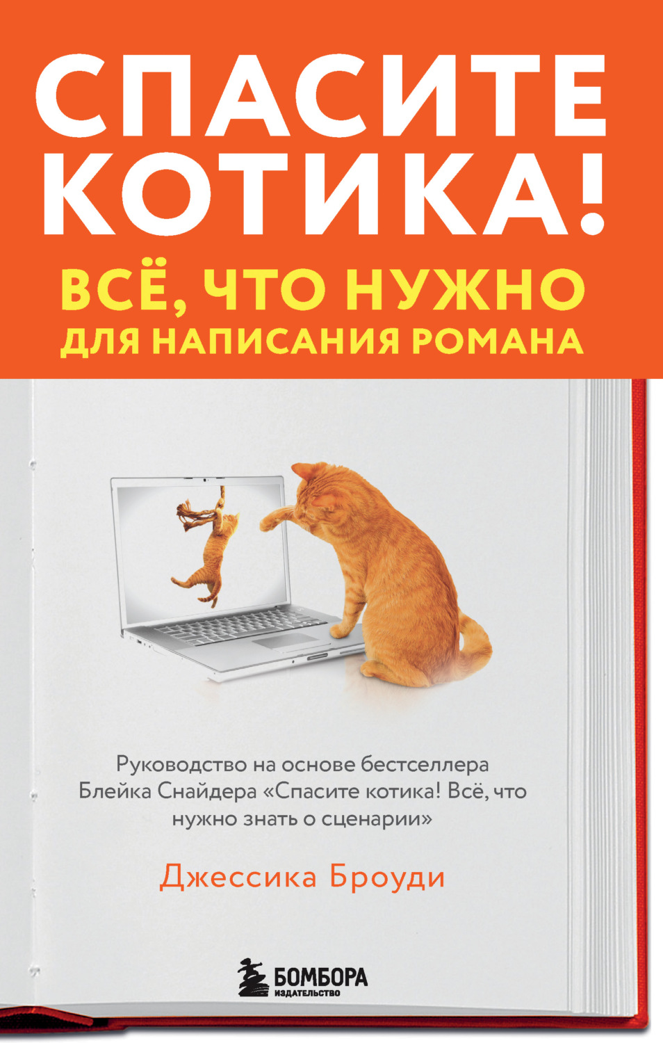 Литературоведение Спасите котика! Всё, что нужно для написания романа(Джессика Броуди) 