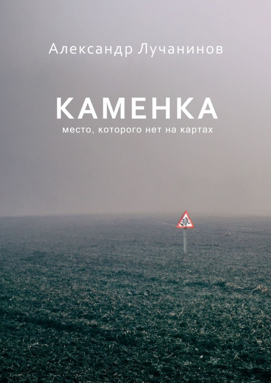Книги о приключениях Каменка(Александр Лучанинов) 