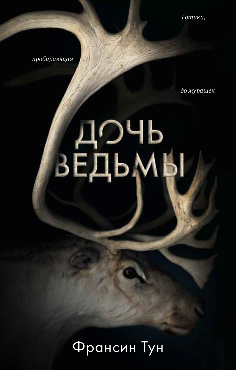 Триллеры Дочь ведьмы(Франсин Тун) 