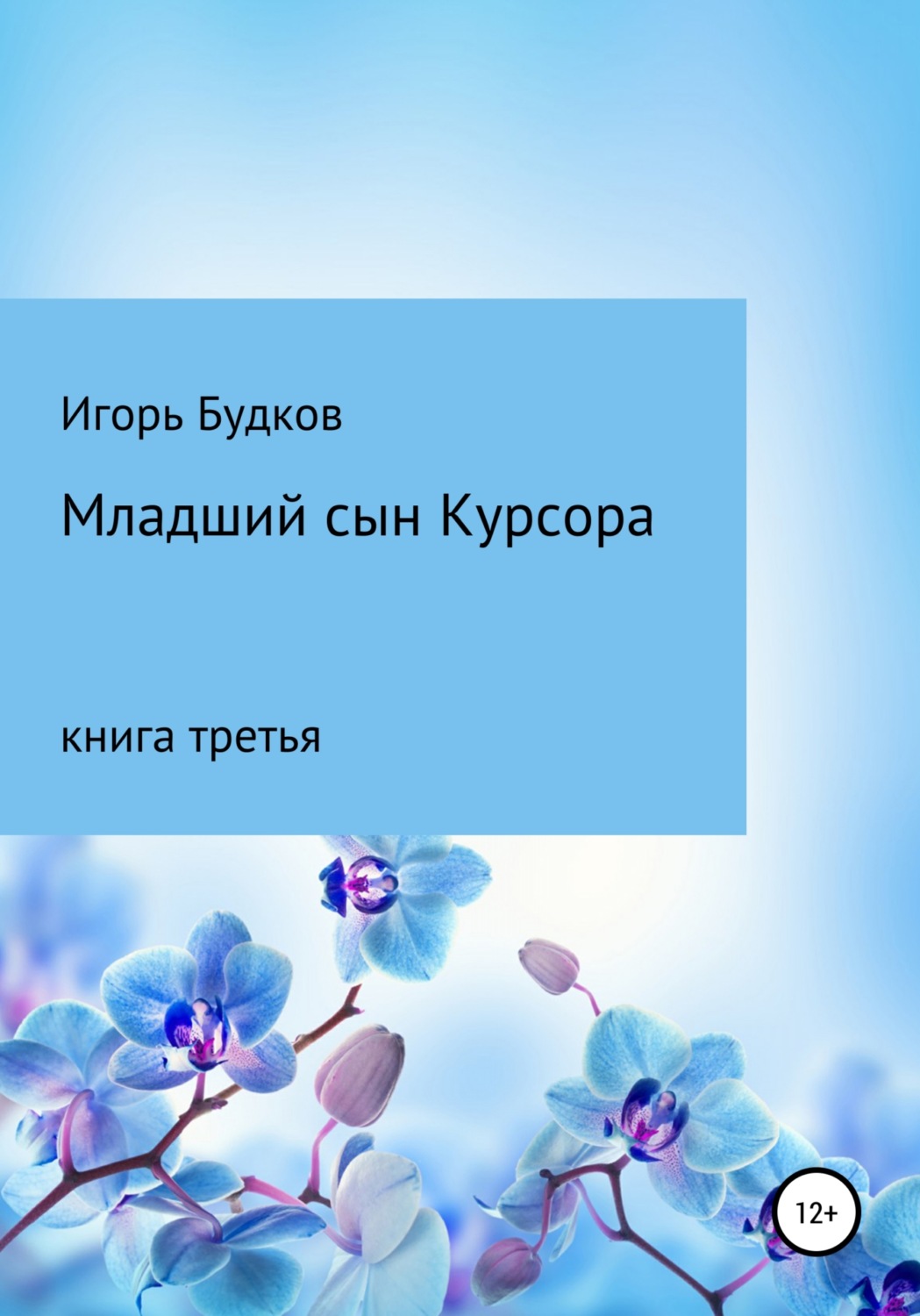 Детская фантастика Младший сын Курсора(Игорь Будков) 