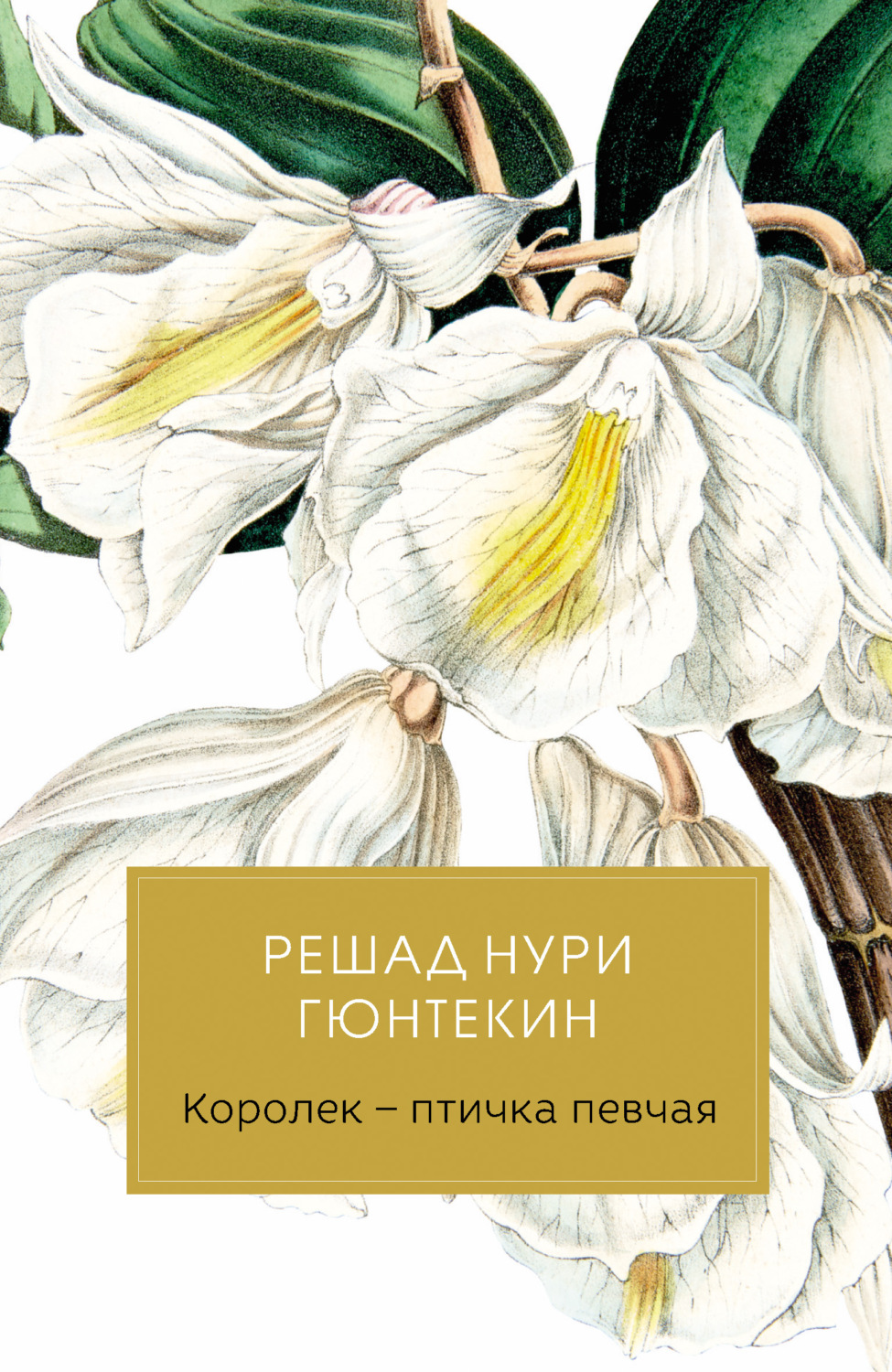 Історичні любовні романи Птичка певчая(Решад Гюнтекин) 