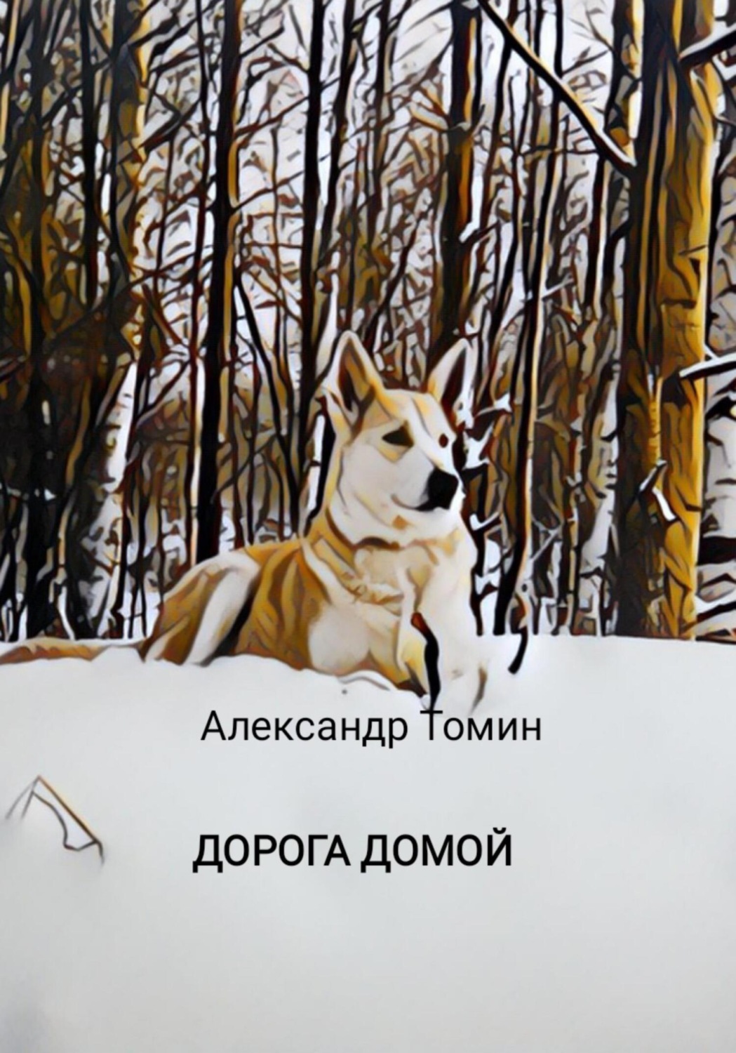 Книги о приключениях Дорога домой(Александр Томин) 