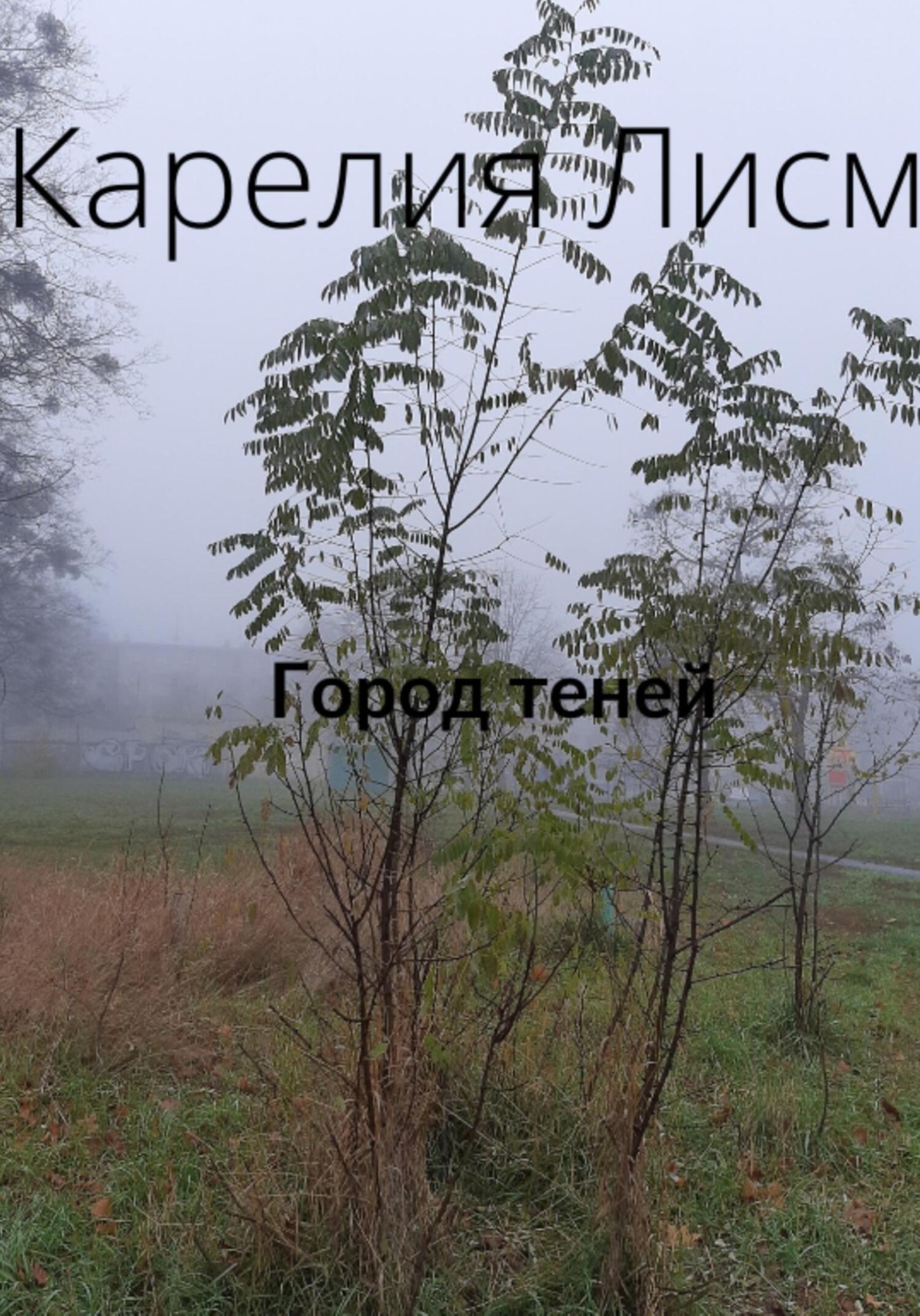 Короткие любовные романы Город теней(Карелия Лисм) 