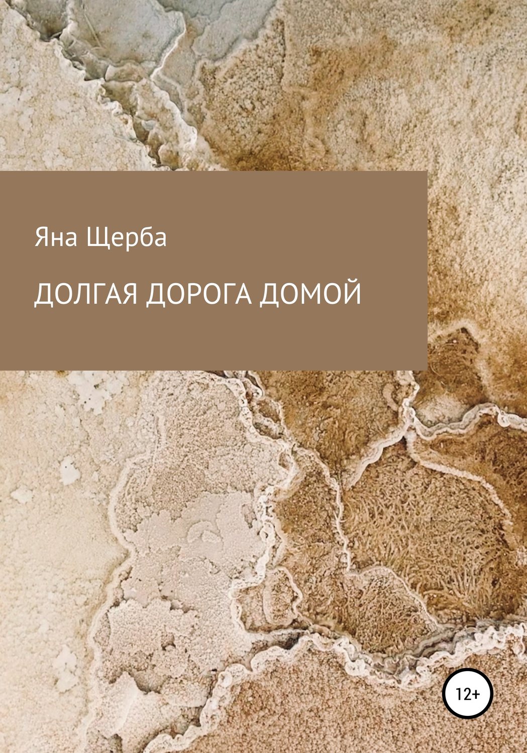Соціальна фантастика Долгая дорога домой(Яна Щерба) 