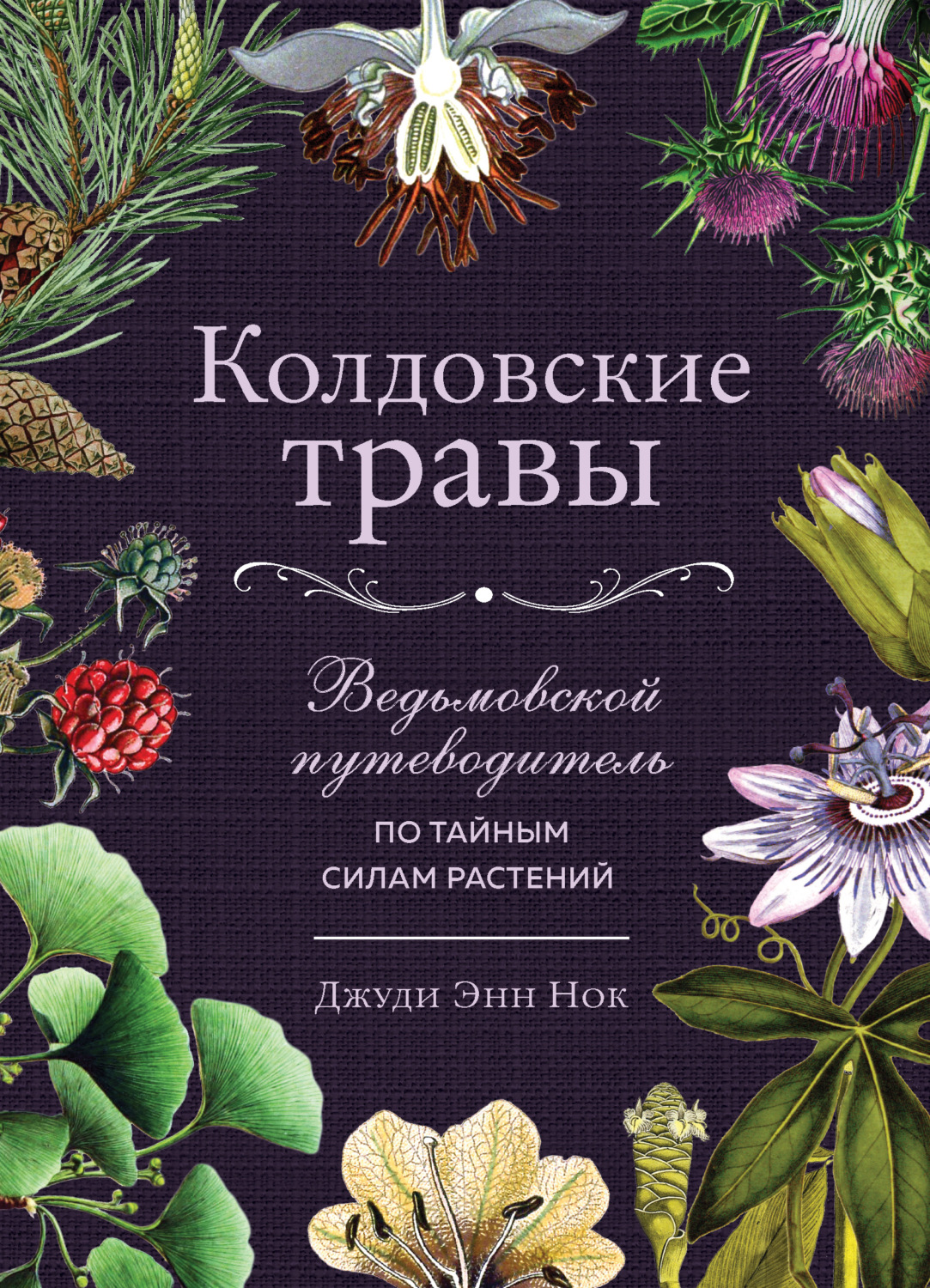 Зарубежная эзотерическая литература Колдовские травы. Ведьмовской путеводитель по тайным силам растений(Джуди Энн Нок) 