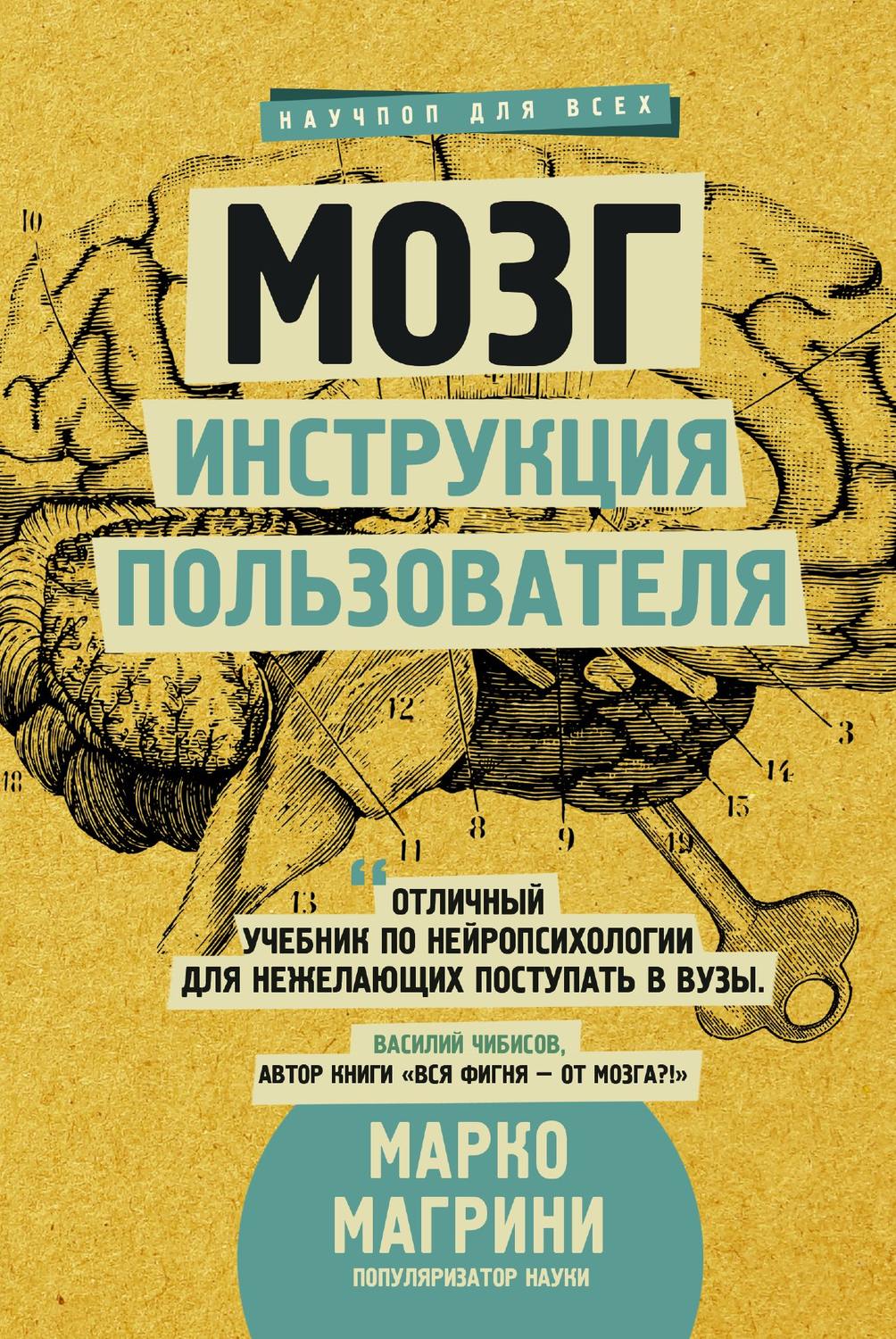Нейропсихология Мозг. Инструкция пользователя(Марко Магрини) 