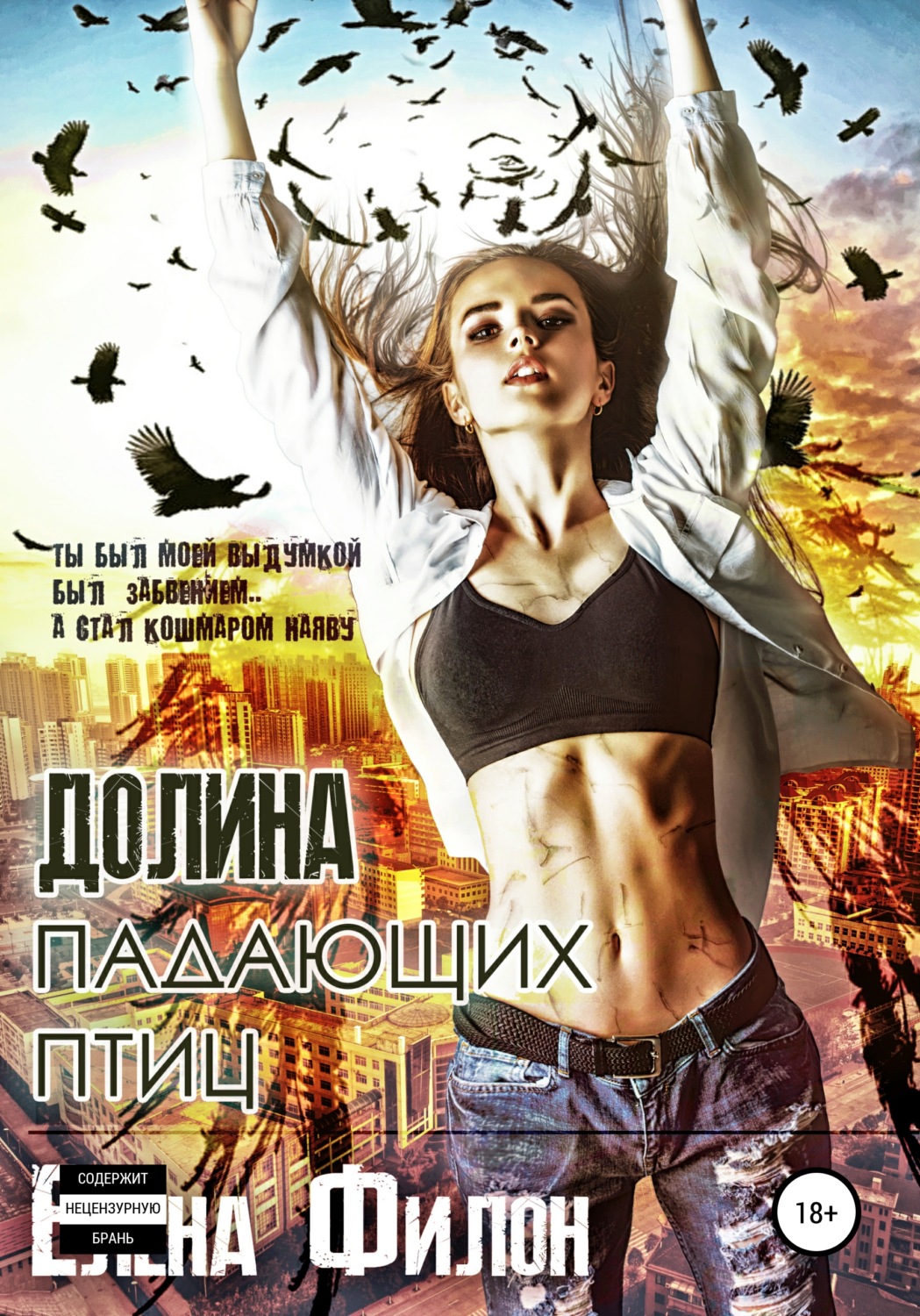Міське фентезі Долина падающих птиц(Елена Филон) 