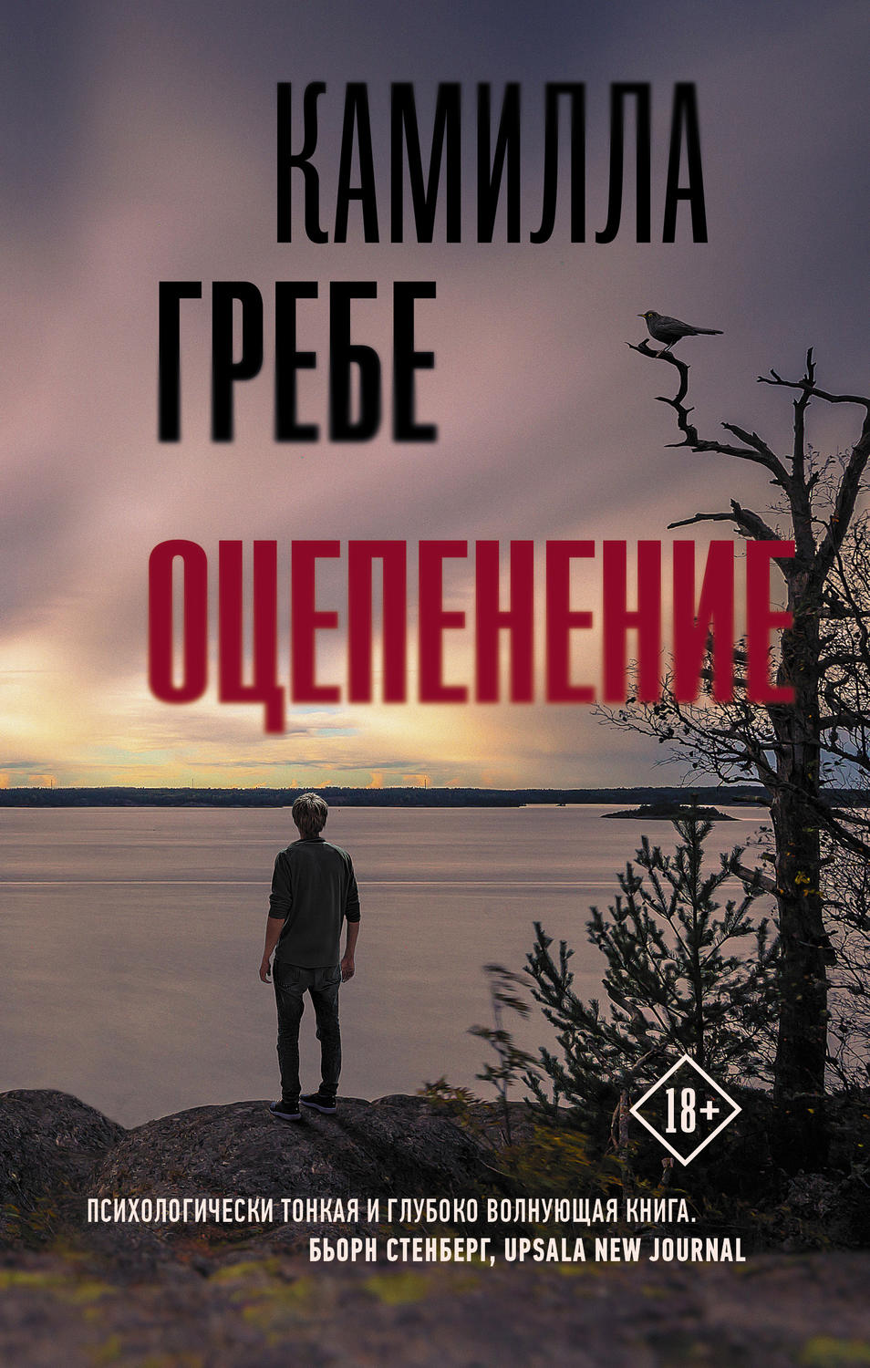 Зарубіжні детективи Оцепенение(Камилла Гребе) 