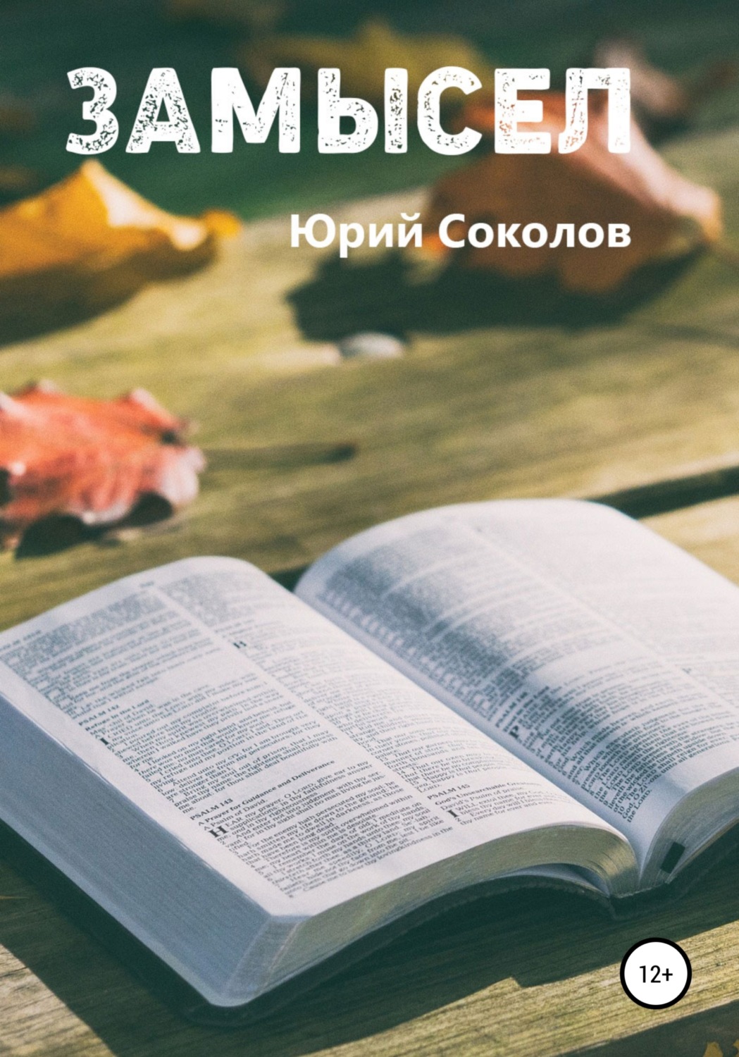 Религии / верования / культы Замысел(Юрий Соколов) 