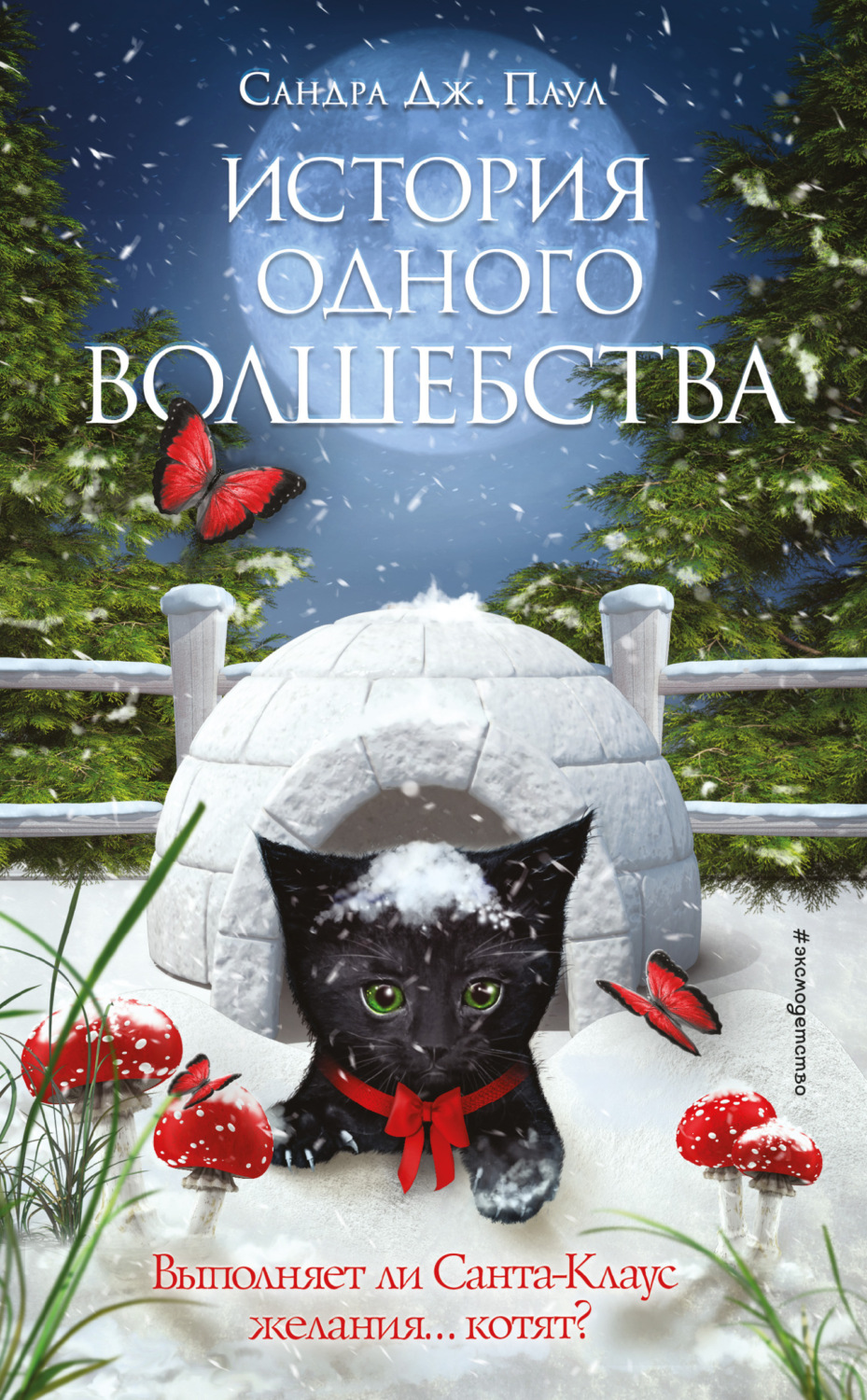 Зарубежные детские книги История одного волшебства(Сандра Паул) 