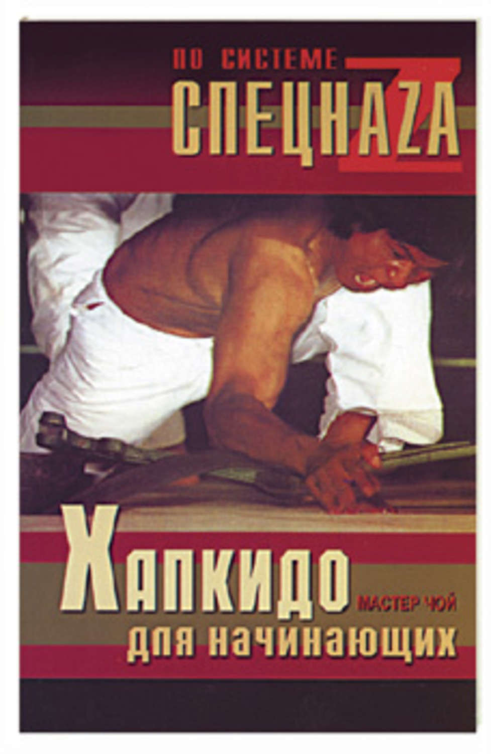 Спорт / фитнес Хапкидо для начинающих( Мастер Чой) 