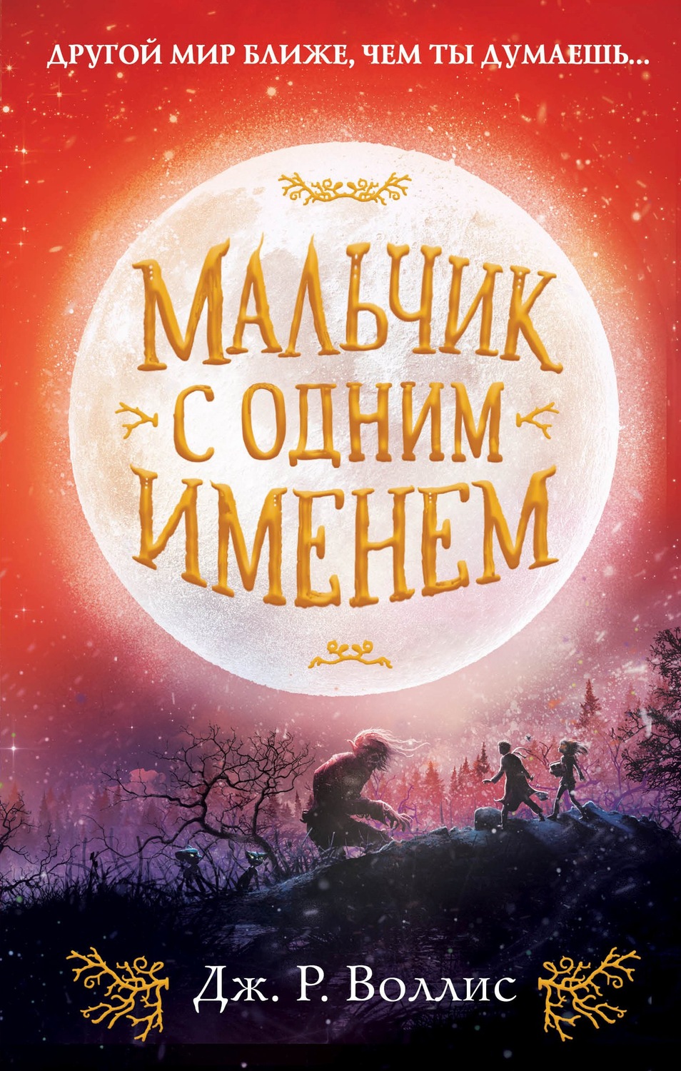 Детские приключения Мальчик с одним именем(Дж. Р. Воллис) 