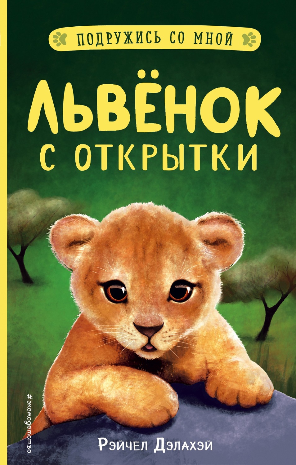 Детские приключения Львёнок с открытки(Рэйчел Дэлахэй) 