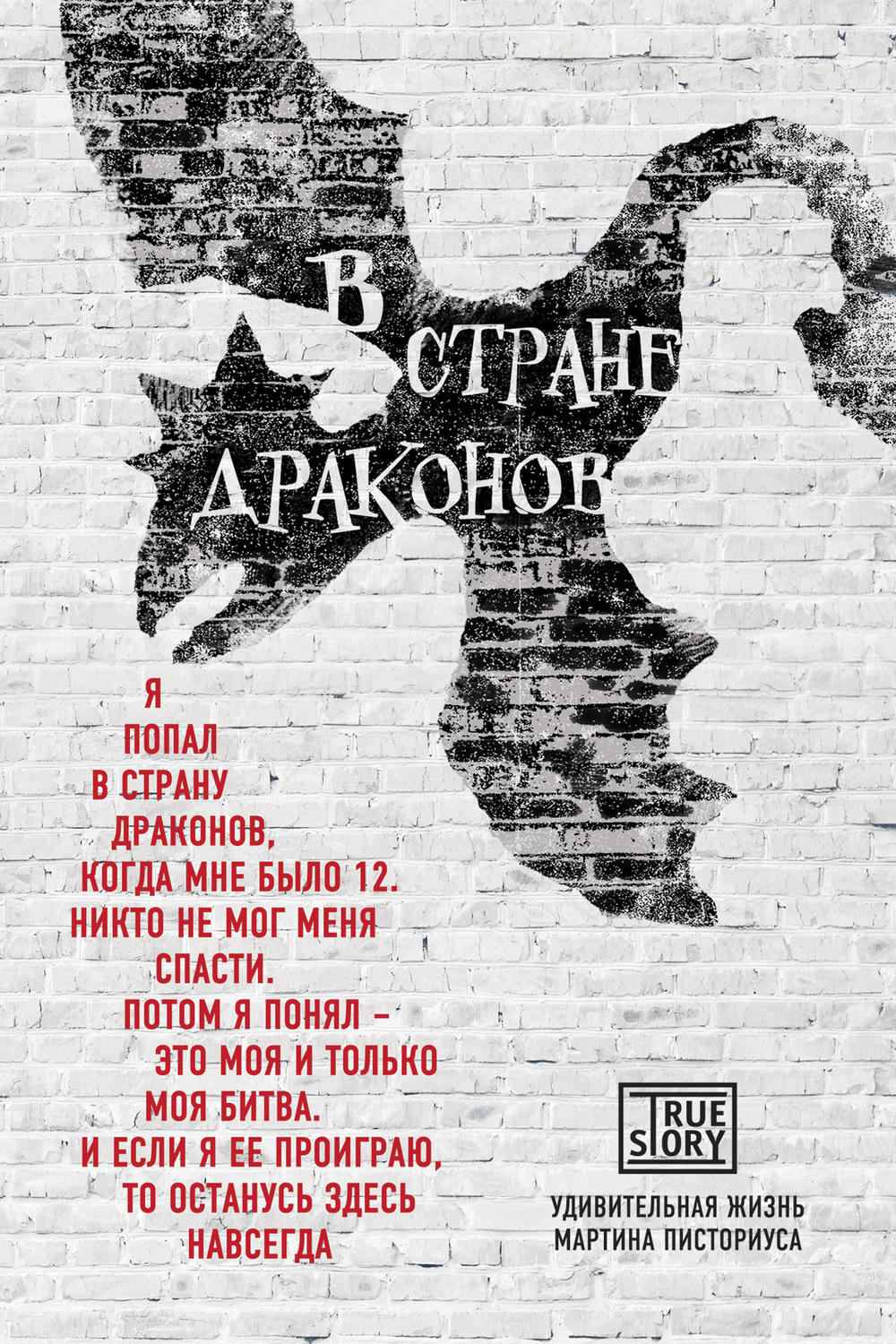 Истории из жизни В стране драконов. Удивительная жизнь Мартина Писториуса(Мартин Дэвис) 