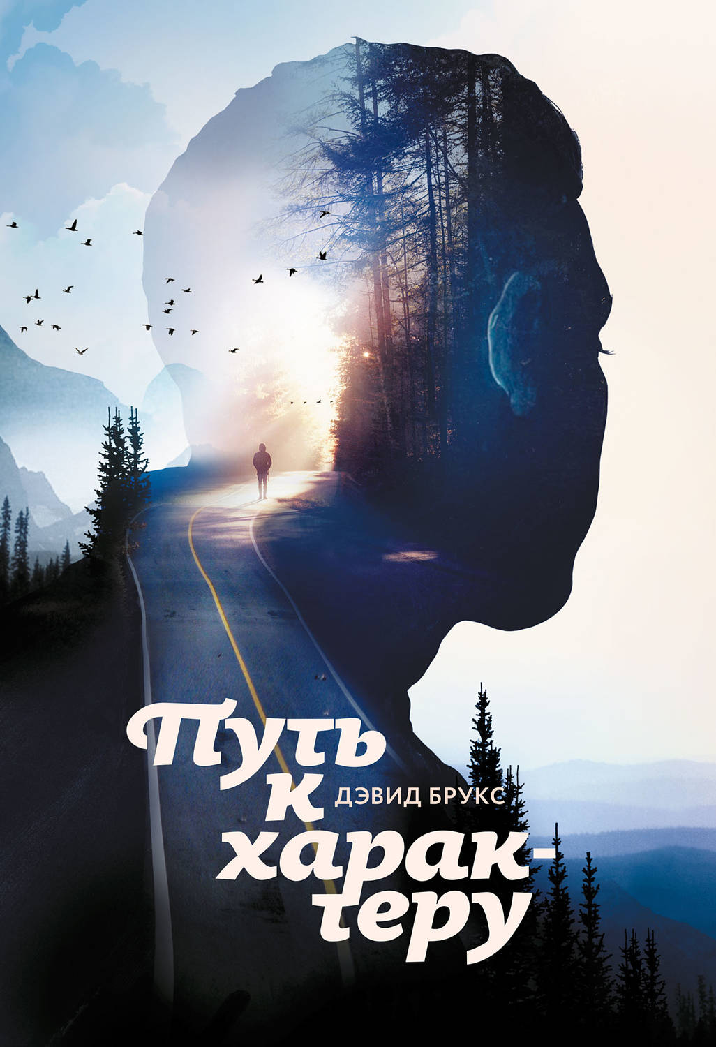 Истории успеха Путь к характеру(Дэвид Брукс) 