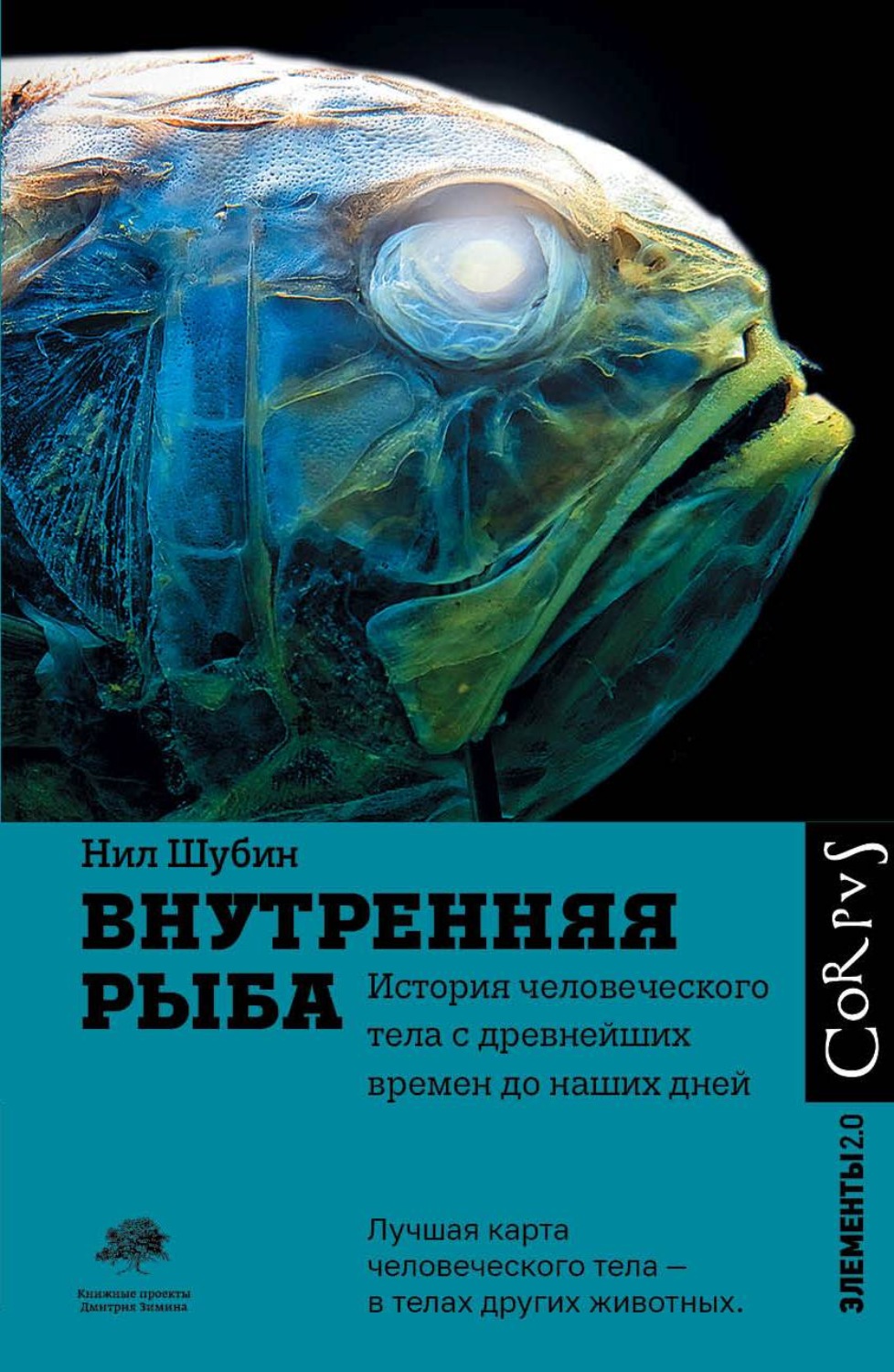 Антропология Внутренняя рыба. История человеческого тела с древнейших времен до наших дней(Нил Шубин) 